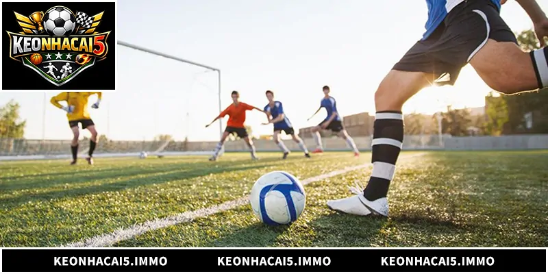 Khám phá chi tiết nền tảng 1gom